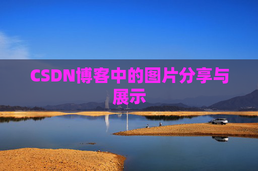 CSDN博客中的图片分享与展示